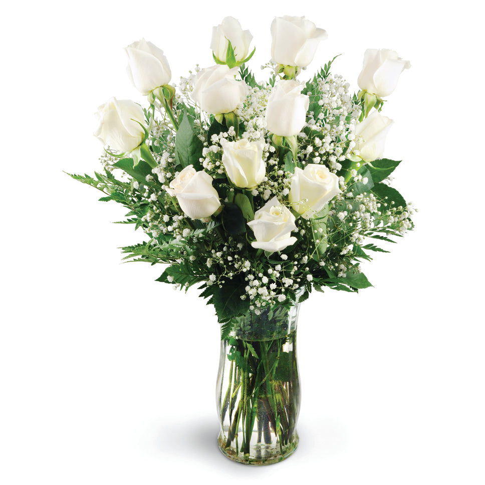 Dozen White Roses. A dozen white roses are beautifully arranged with soft baby's breath and lush greenery.