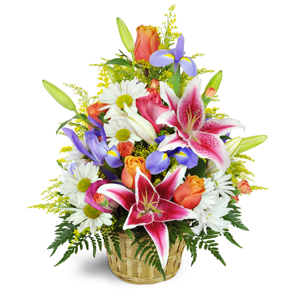 Stargazer Blessings Basket™ - Premium. Stargazer lilies, irises, and more are expertly arranged in a bamboo basket.