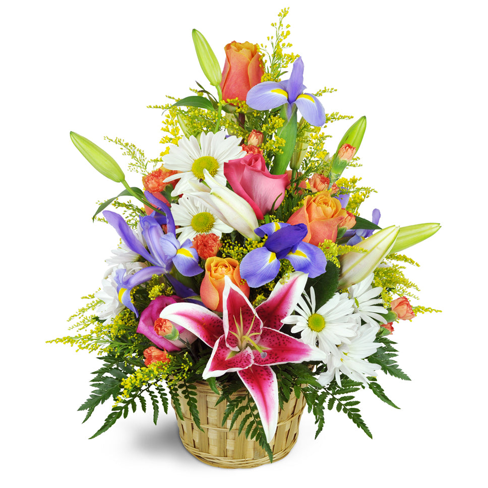 Stargazer Blessings Basket™ - Deluxe. Stargazer lilies, irises, and more are expertly arranged in a bamboo basket.