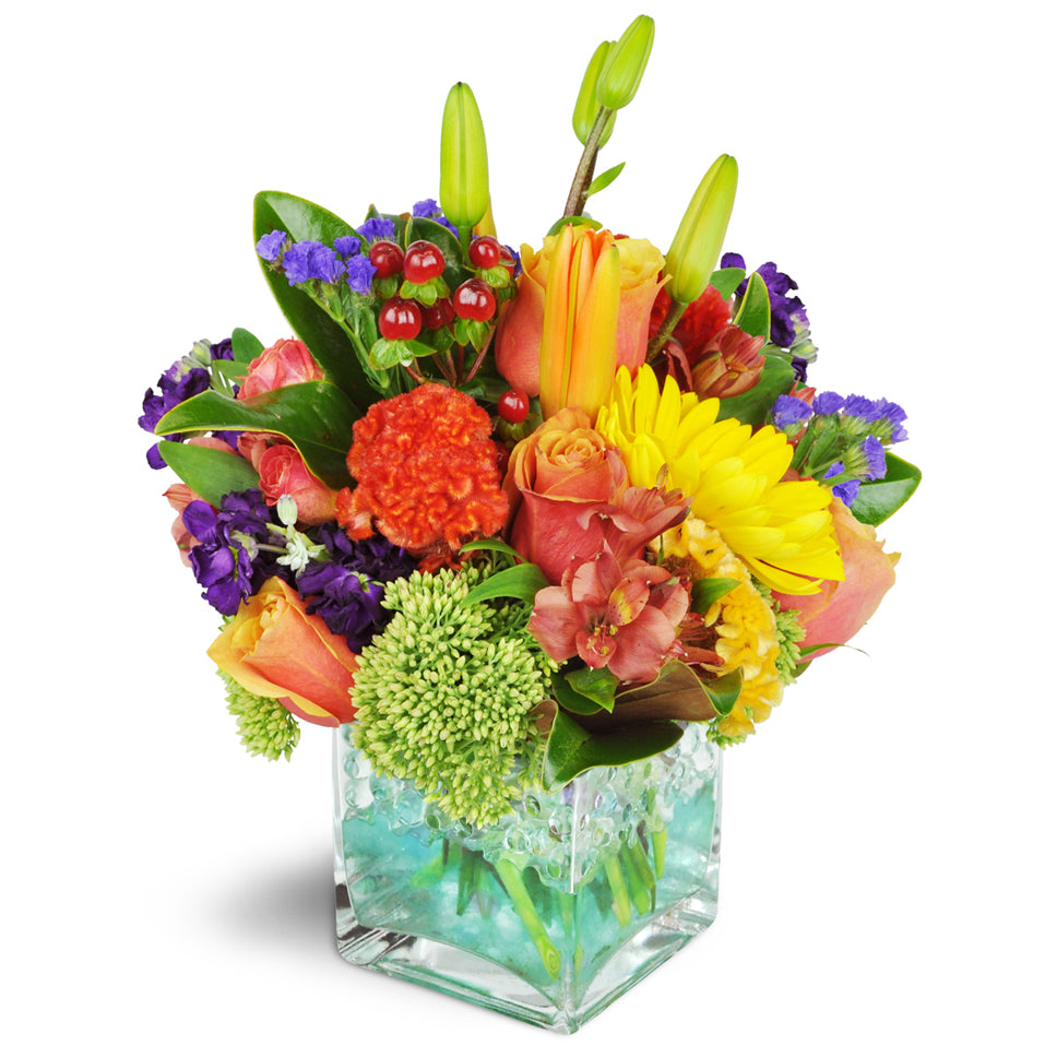 Splash of Laughter!™. Roses, lilies, alstroemeria, and more are arranged in a modern glass cube.