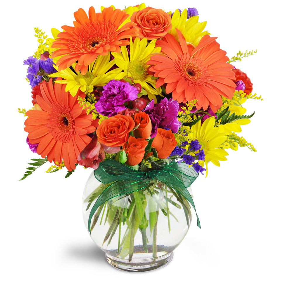 Sunglow Blooms™ - Premium. Gerbera daisies, miniature carnations, and spray roses are arranged in this delightful bouquet.