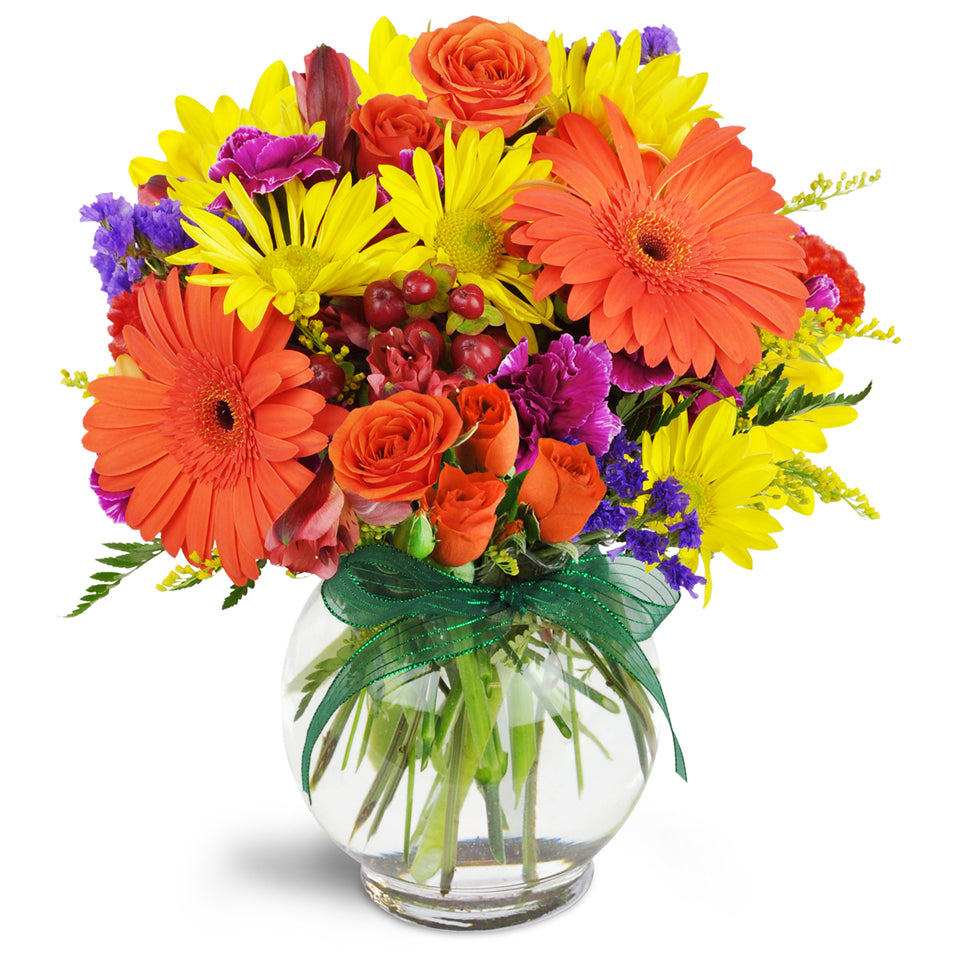 Sunglow Blooms™ - Deluxe. Gerbera daisies, miniature carnations, and spray roses are arranged in this delightful bouquet.