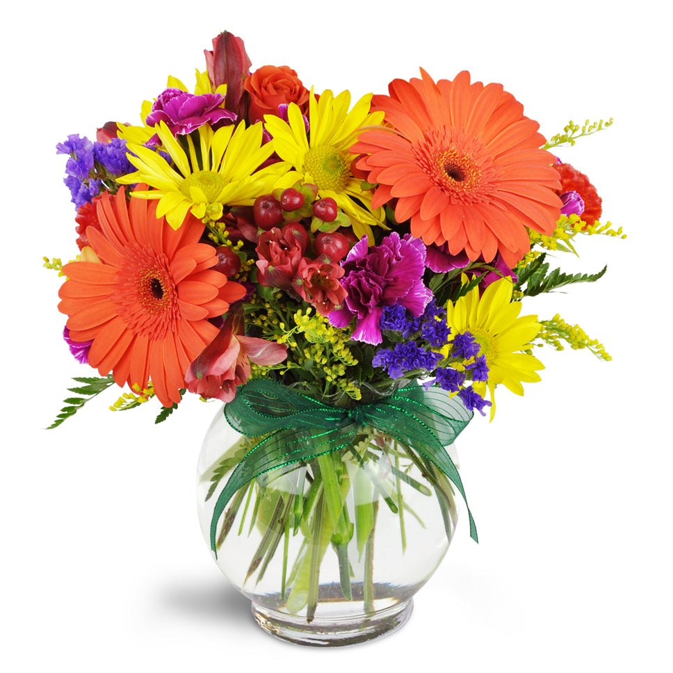 Sunglow Blooms™ - Standard. Gerbera daisies, miniature carnations, and spray roses are arranged in this delightful bouquet.