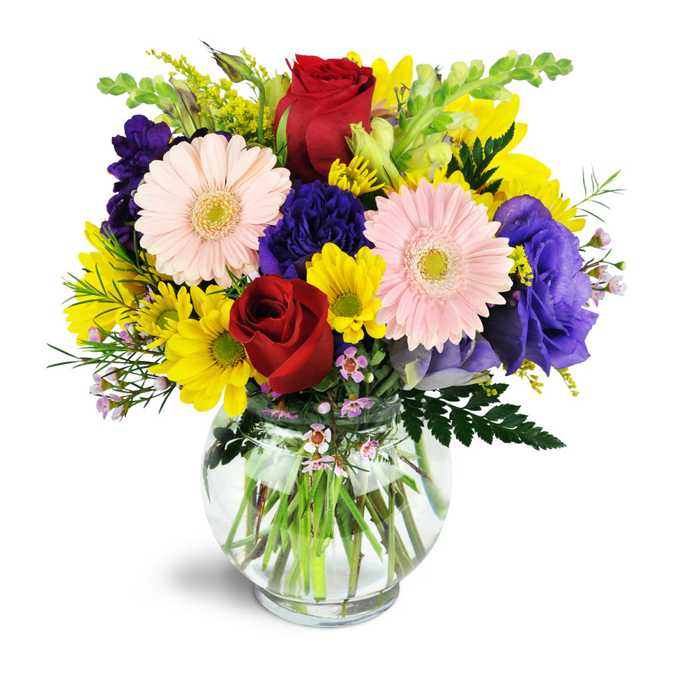 A Touch of Bliss deluxe flower arrangement. With fresh daisies, Gerbera daisies, alstroemeria