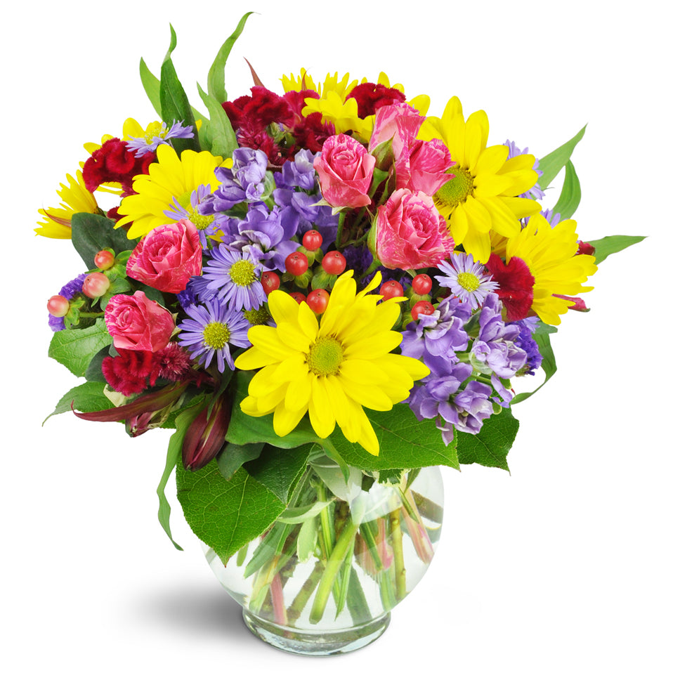 Joyful Thanks™ - Premium. Yellow daisies, purple asters, pink spray roses, and more are delightfully arranged in a fun bubble bowl.