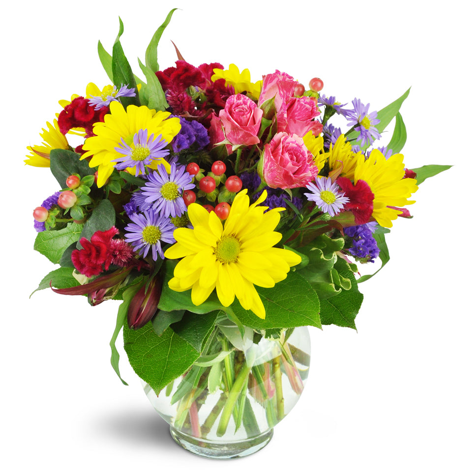 Joyful Thanks™ - Standard. Yellow daisies, purple asters, pink spray roses, and more are delightfully arranged in a fun bubble bowl.