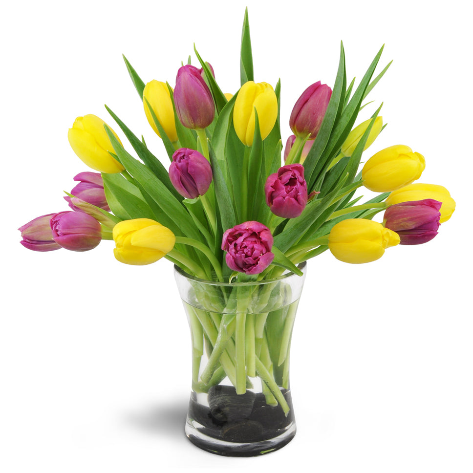 Springtime Duet™ - Standard. Twenty yellow and violet tulips are delightfully arranged in a glass vase.