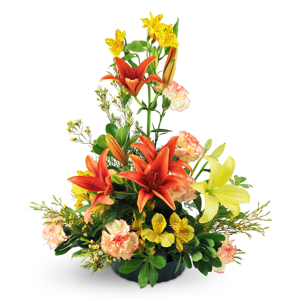 Among The Stars flower arrangement. Yellow and orange lilies are beautifully arranged with carnations, alstroemeria, waxflower, pittosporum, and plumosa.