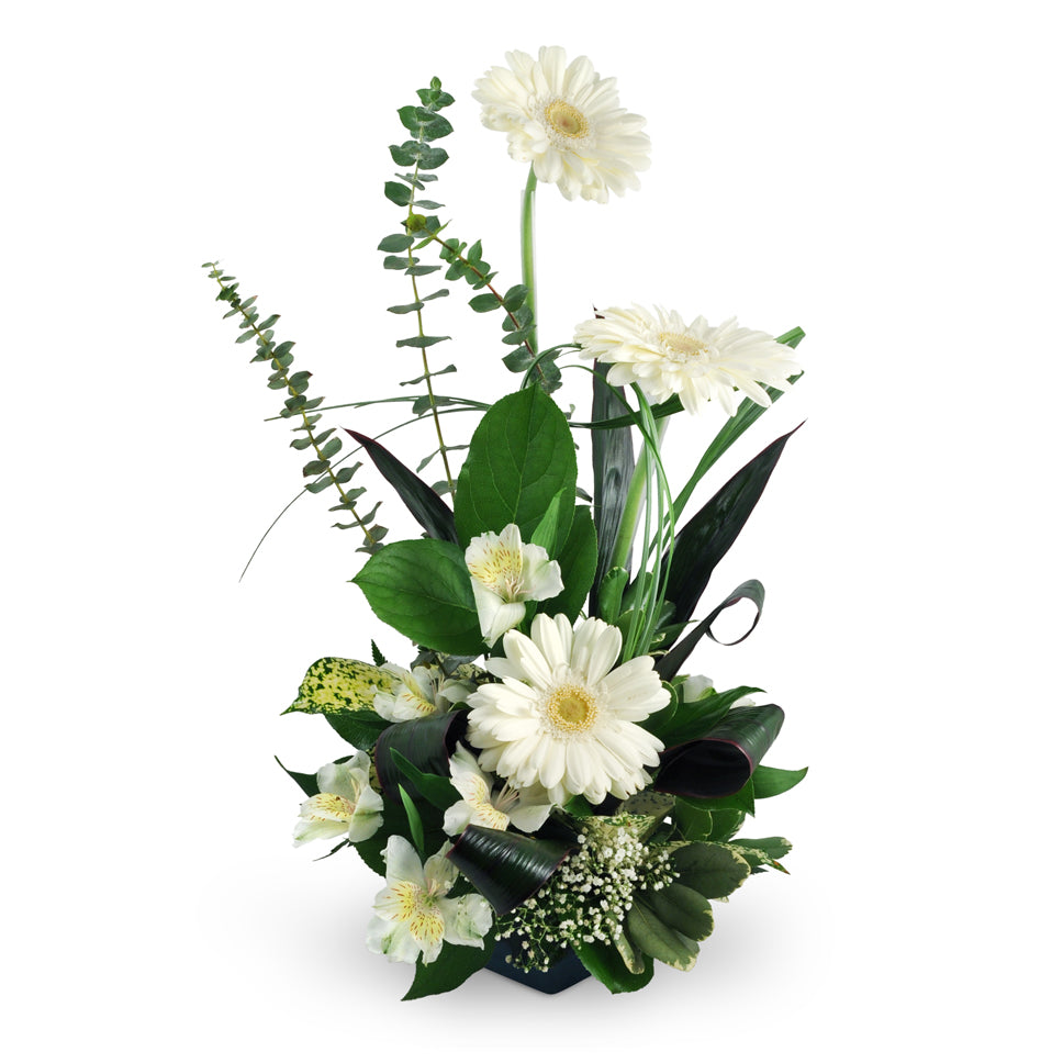 Heaven's Gate. White Gerbera daisies, alstroemeria, baby's breath, lush tropical leaves, and more create a graceful design that will warm their heart.