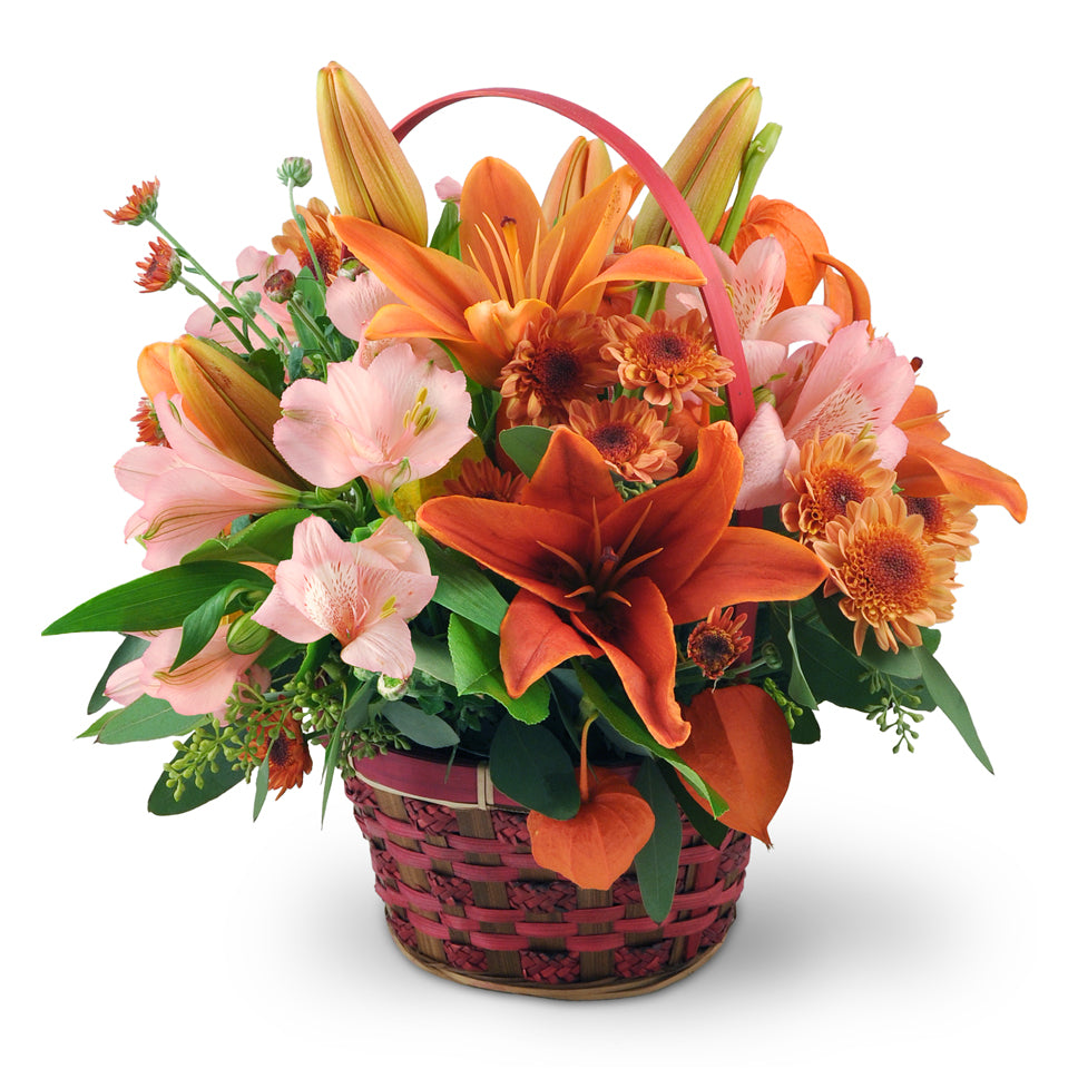 Sunset Basket. Capture their hearts with pink alstroemeria and orange Asiatic lilies arranged with chrysanthemums, Chinese lanterns, seeded eucalyptus, and salal.