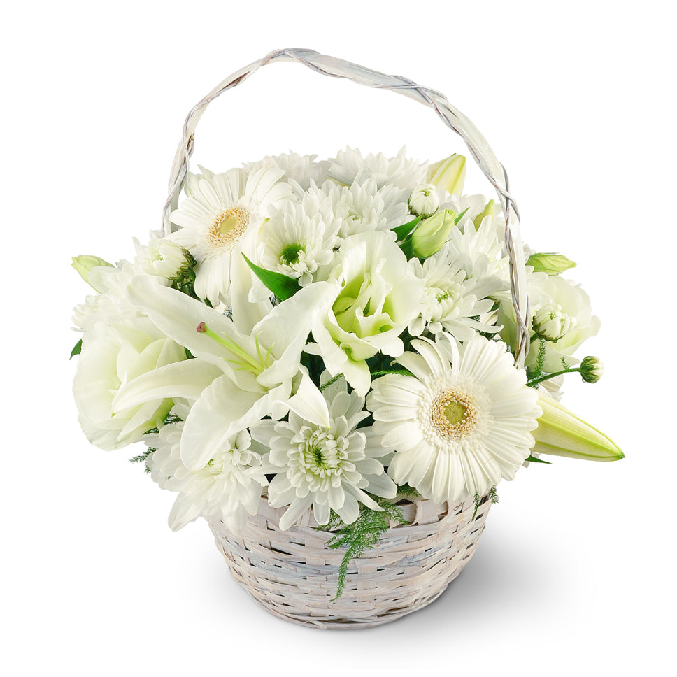 Serenity Basket. An elegant white basket is filled with white oriental lilies, chrysanthemums, lisianthus, Gerbera daisies, and plumosa.