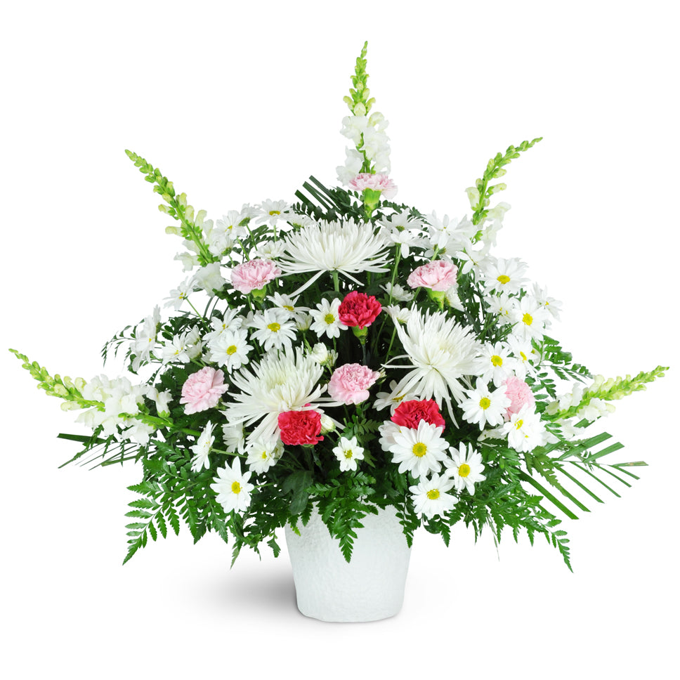 Fond Remembrance Tribute. Daisies, Fuji mums, carnations, and snapdragons are gracefully arranged in a maché container for display at the funeral home or service.