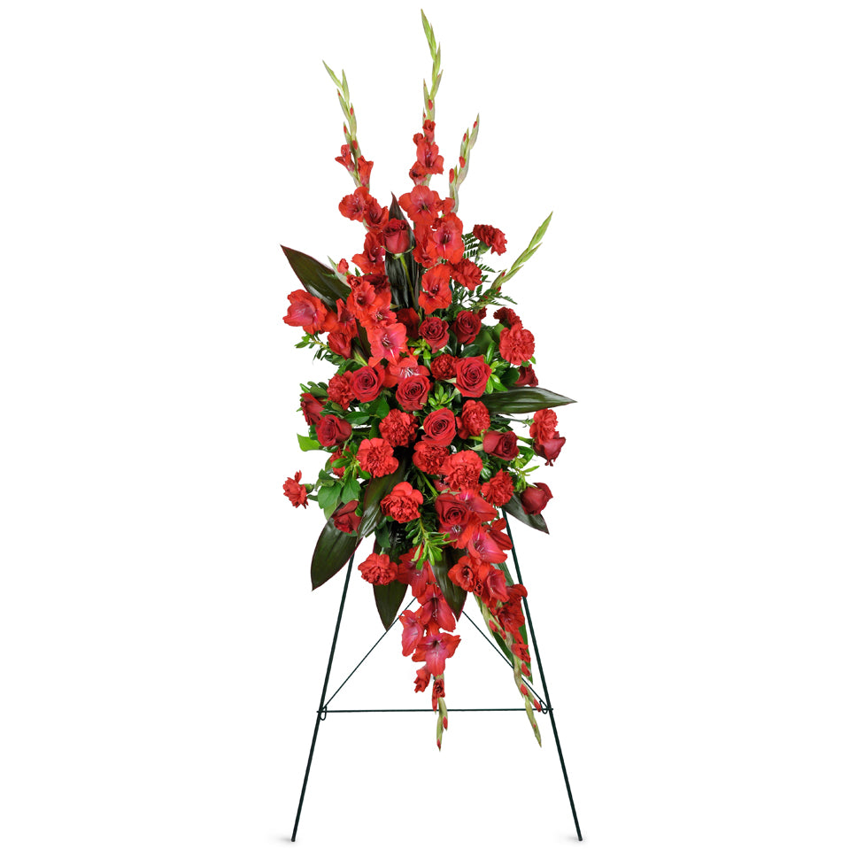 Always Remembered Sympathy Spray. Large red roses, red carnations, red gladiolus, and dark green aspidistra leaves are arranged for display at the funeral or service.