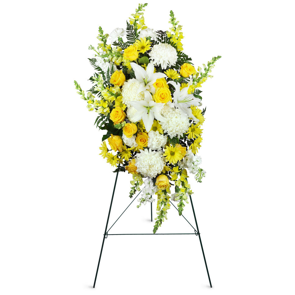 Golden Slumber for Sympathy™. Impressive commercial mums, yellow snapdragons, white lilies, and sweet yellow roses are arranged for display at the funeral home or service.