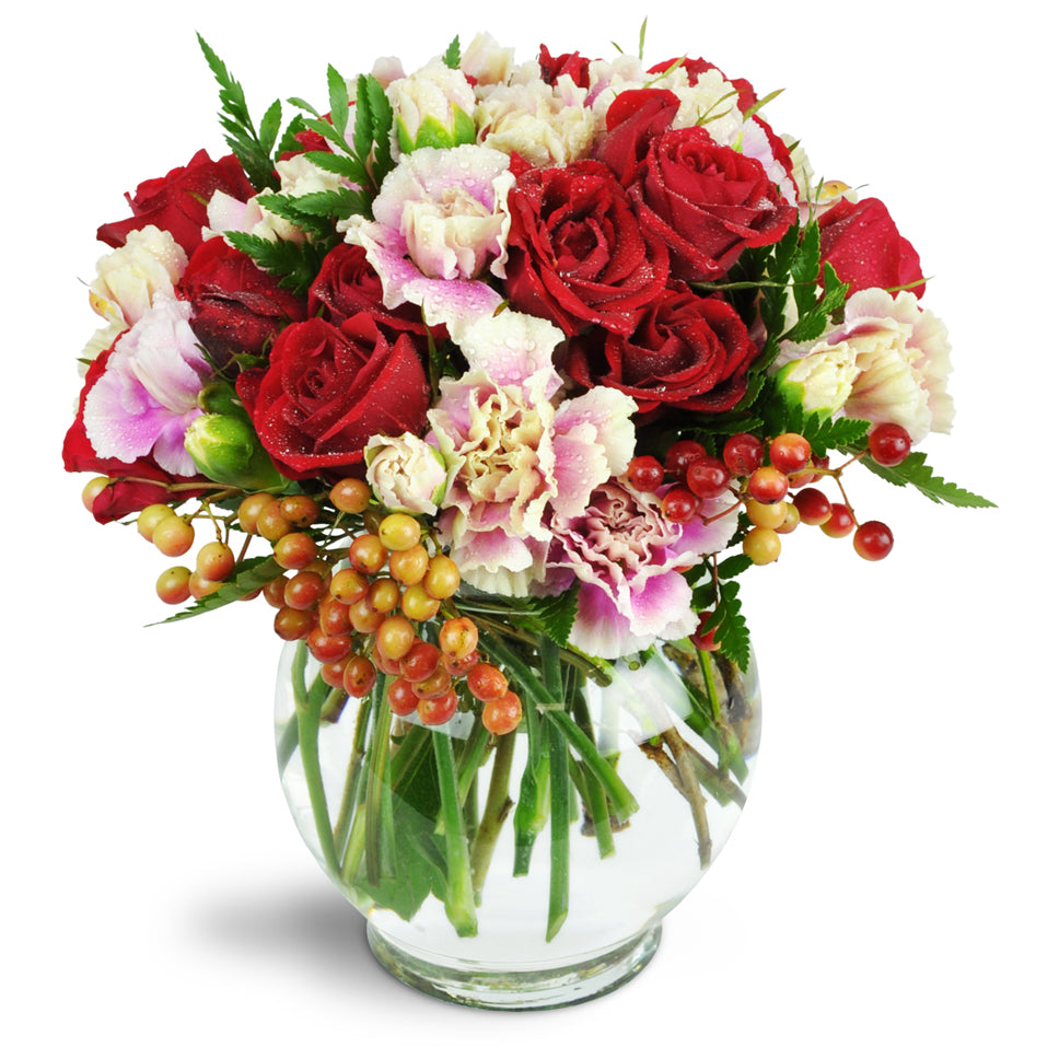 Cheap Bi-Color Spray Carnation Flowers