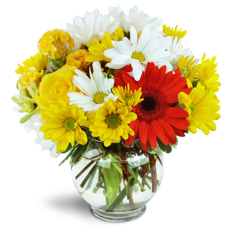 Bright Delight flower arrangement. Gerbera daisies, yellow and white daisies, roses, and more are arranged in a glass vase.