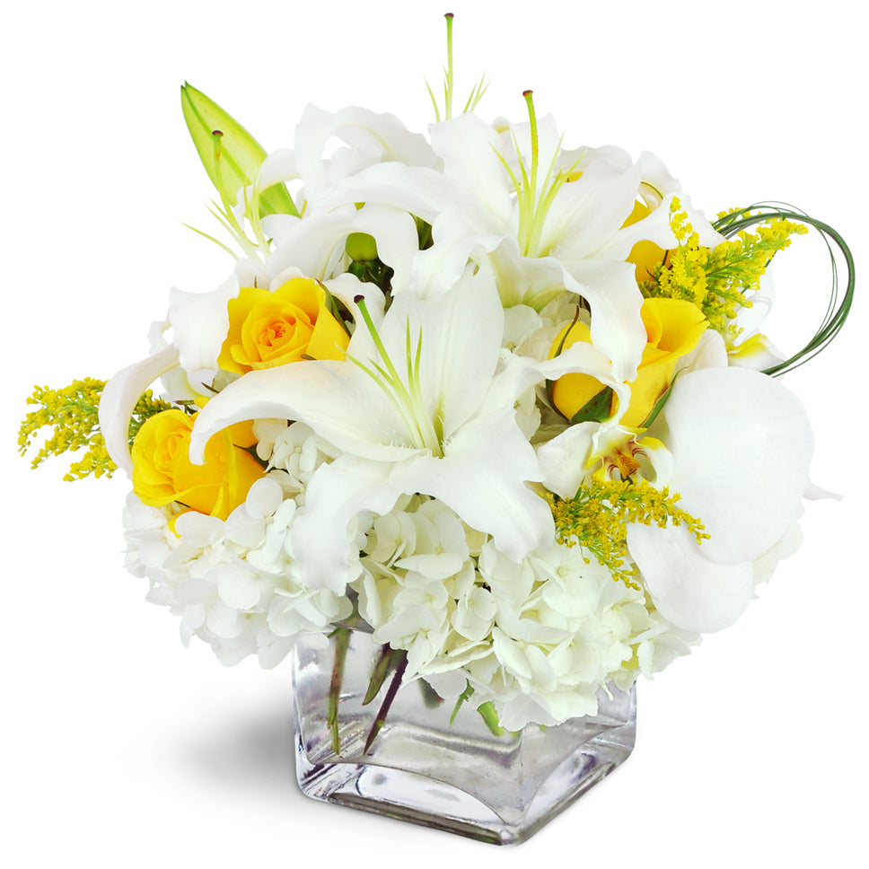 Glowing Elegance™. Treat them to white cymbidium orchids, lilies, and hydrangea accented by stunning yellow roses.