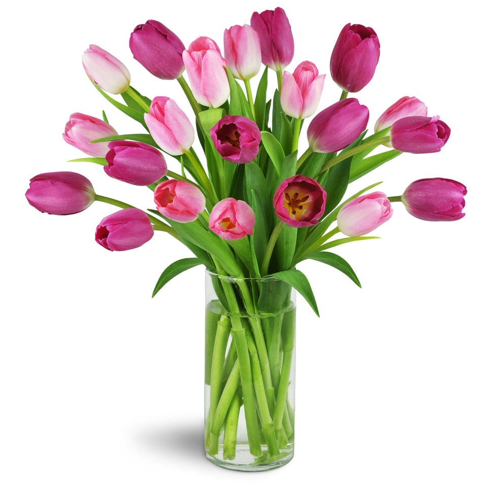 Perfect Pink Tulips™ - Premium. Featuring a stunning assortment of tulips in all shades of pink arranged in a clear vase for optimal enjoyment.