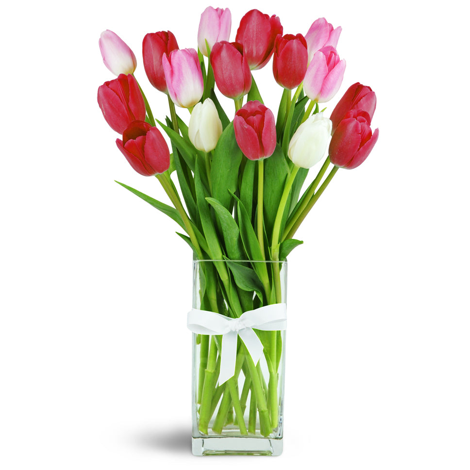 So Sweet™ - Deluxe. Red, pink, and white tulips are cheerfully arranged in a glass vase.