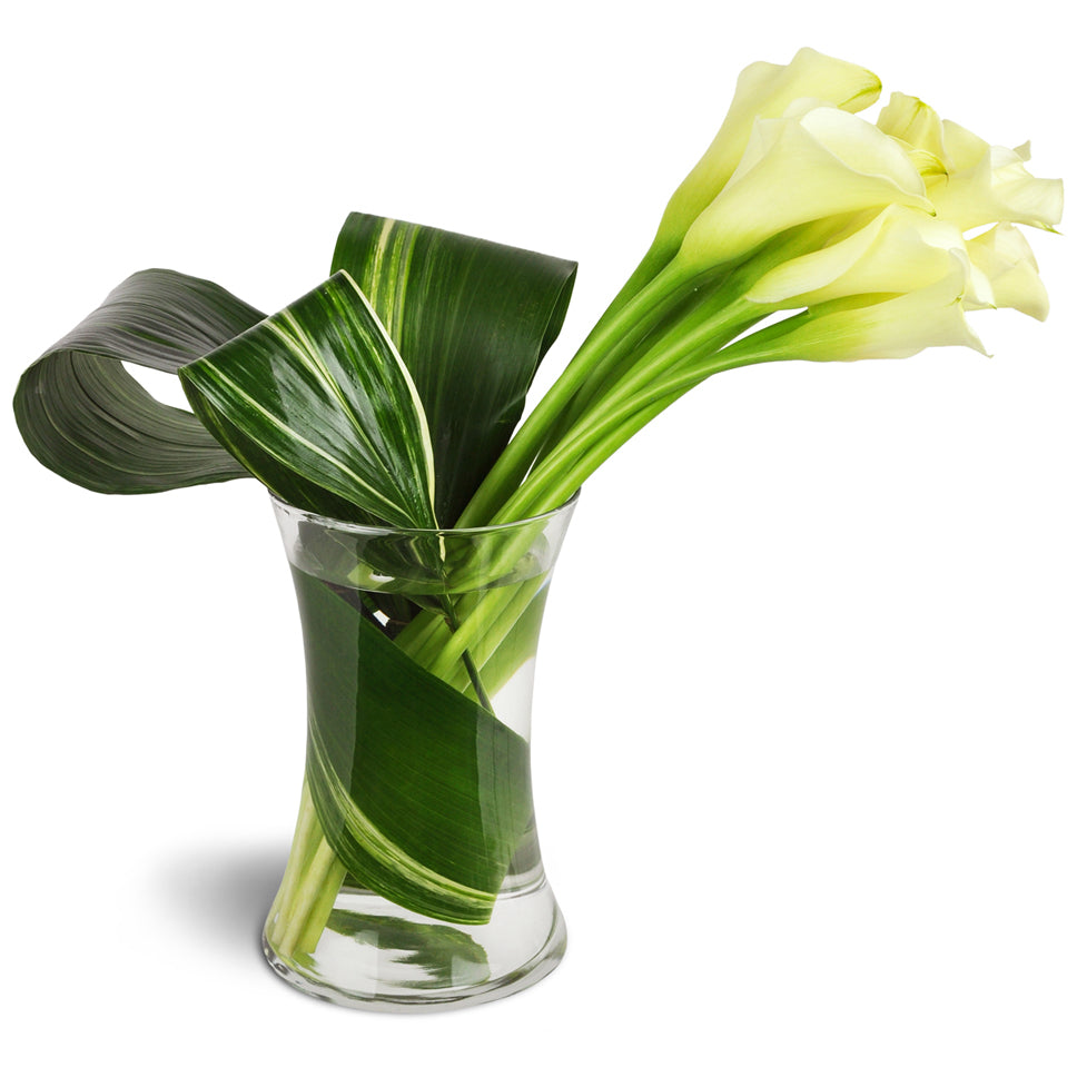 Classic Elegance Calla Vase™. Ten creamy white mini calla lilies are accented by delicately rolled green leaves for a unique look.