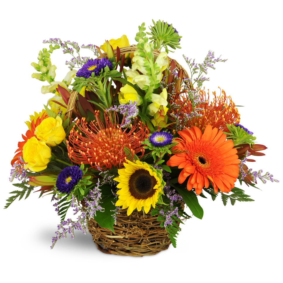 Autumn Joy Basket. Orange Gerbera daisies, yellow sunflowers, and pincushion protea are accented with seasonal snapdragon and fresh greenery in a rustic round wicker basket.