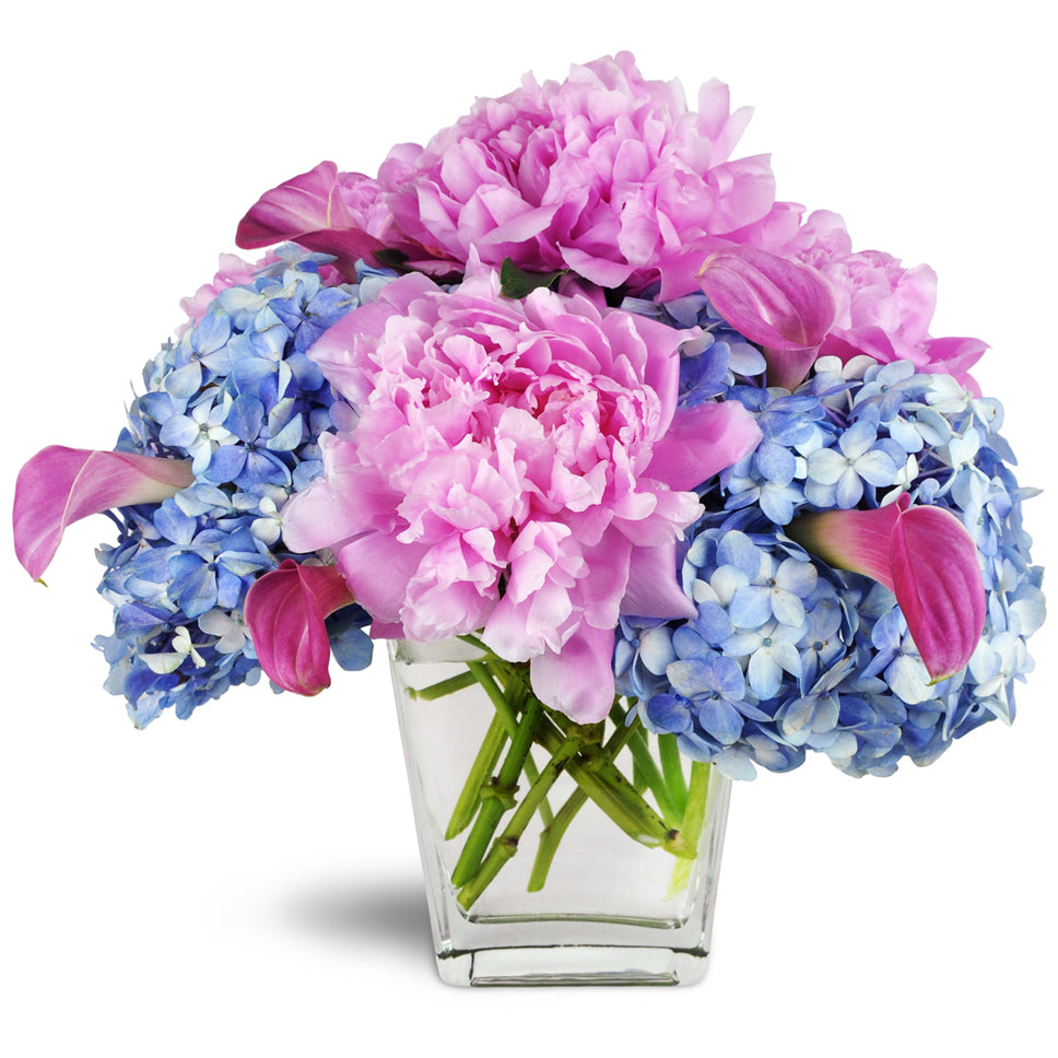 Love's Blessing Peony Vase™. Blue hydrangea, pink peonies, and pink mini calla lilies are arranged with stock greenery in a clear glass vase.