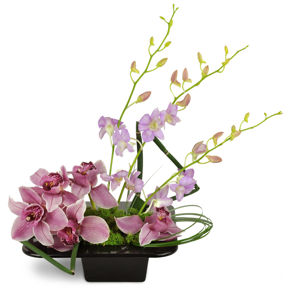 Shanghai Dusk Orchids™. Pink Cymbidium orchids and tall lavender Dendrobium orchids are arranged with fresh greenery in a black vase.