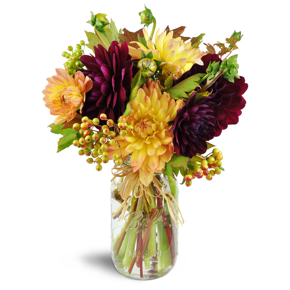 Country Reveries™. Dahlia blooms, vine maple leaf, and viburnum berries are classically arranged in a clear mason jar tied with a raffia ribbon.