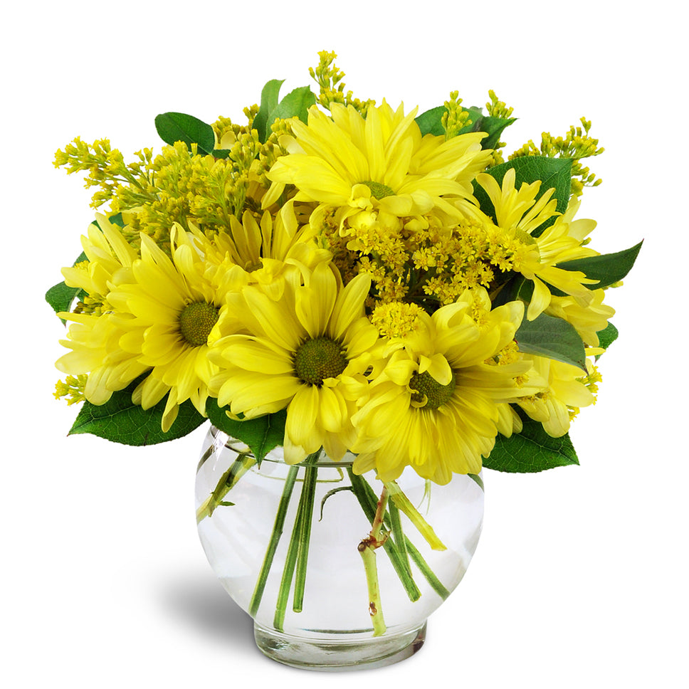 Daisy Dreams™ - Standard. Yellow daisies and solidago are lushly arranged in a classic vase.