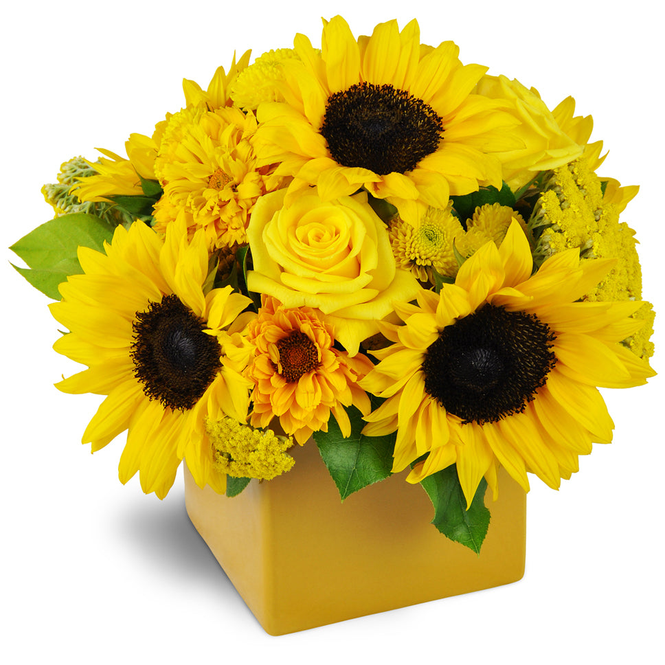 Showers of Sunbeams™. Sweet sunflowers, cheerful daisies, sunny yellow roses, and fresh green kermit poms are perfectly arranged in a glass vase.
