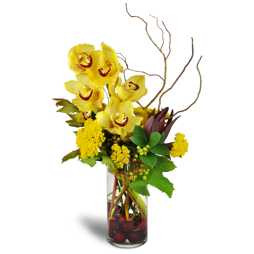 Orchid Symphony™. A half-stem of yellow Cymbidium orchids is arranged with curly willow tendrils and yarrow in a vase full of cherries.