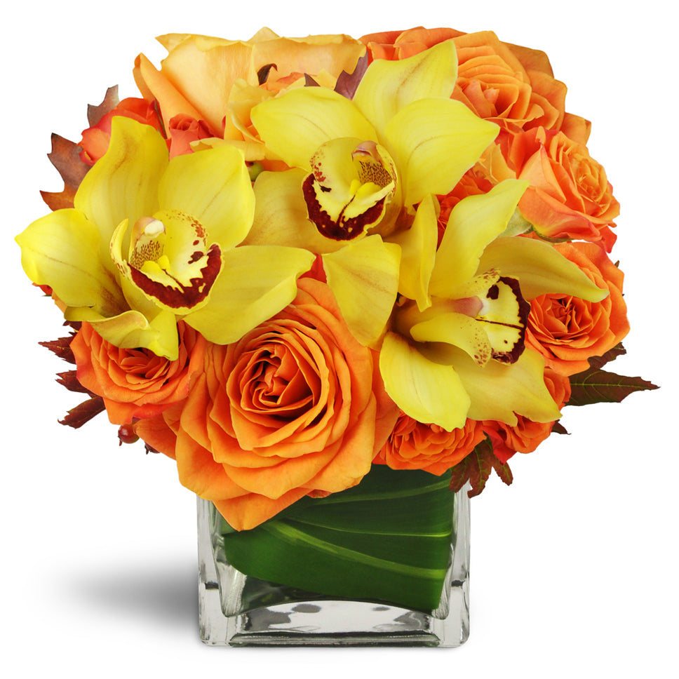 Golden Morning™ - Premium. Yellow cymbidium orchids and large orange rose blooms are arranged in an aspidistra-wrapped vase.