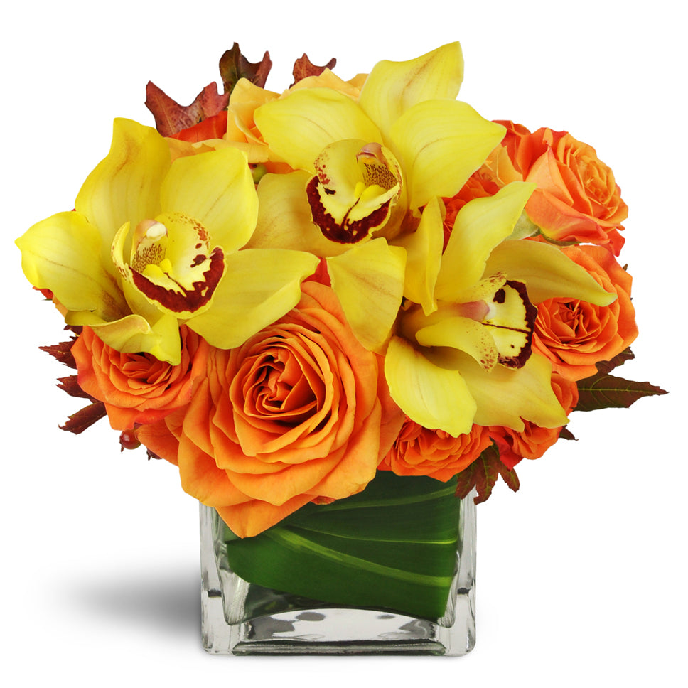 Golden Morning™ - Deluxe. Yellow cymbidium orchids and large orange rose blooms are arranged in an aspidistra-wrapped vase.