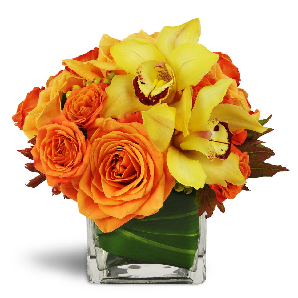 Golden Morning™ - Standard. Yellow cymbidium orchids and large orange rose blooms are arranged in an aspidistra-wrapped vase.