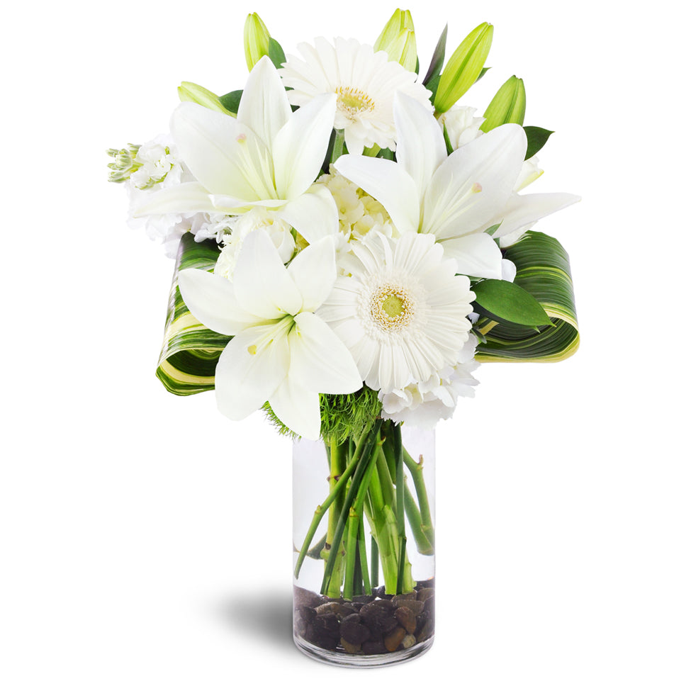 Inspired Blooms™ - Premium. White lilies, white hydrangea, and white spray roses are accented with green dianthus, aspidistra, and Israeli ruscus.