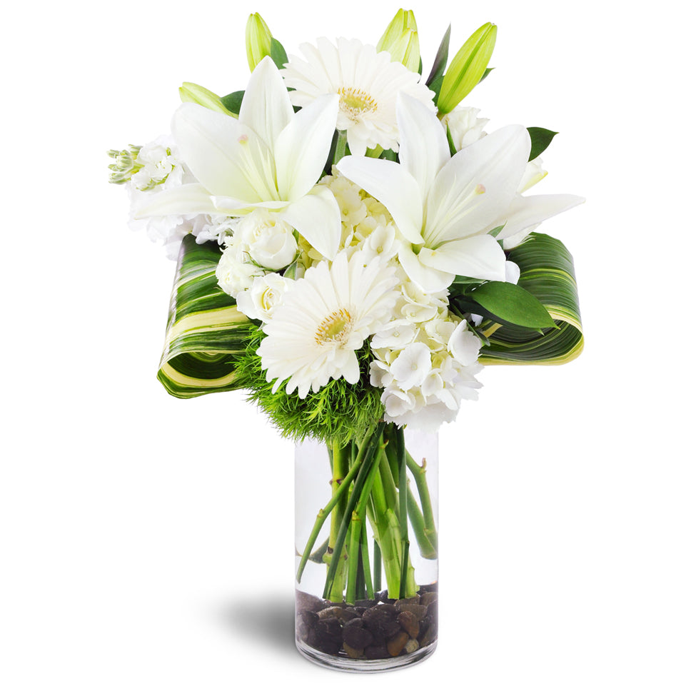 Inspired Blooms™ - Deluxe. White lilies, white hydrangea, and white spray roses are accented with green dianthus, aspidistra, and Israeli ruscus.