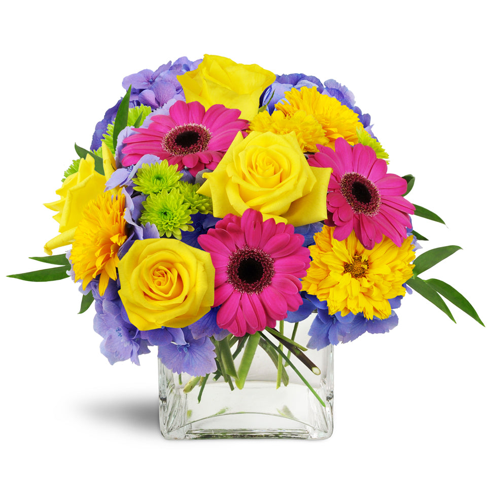 Blooming Medley premium flower arrangement. Purple hydrangea, Gerbera daisies, and roses come together to create a colorful collection that's bursting with elegance.