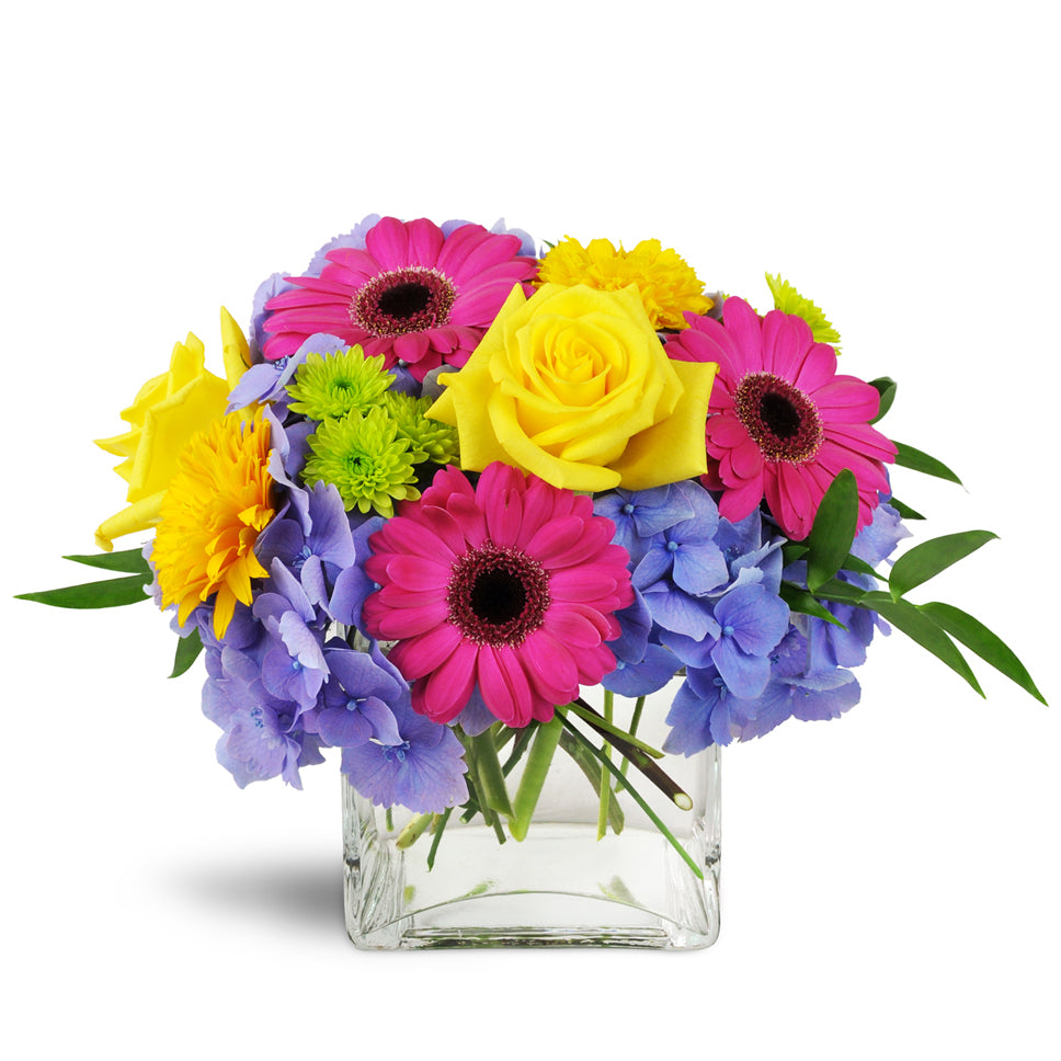 Blooming Medley standard flower arrangement. Purple hydrangea, Gerbera daisies, and roses come together to create a colorful collection that's bursting with elegance.