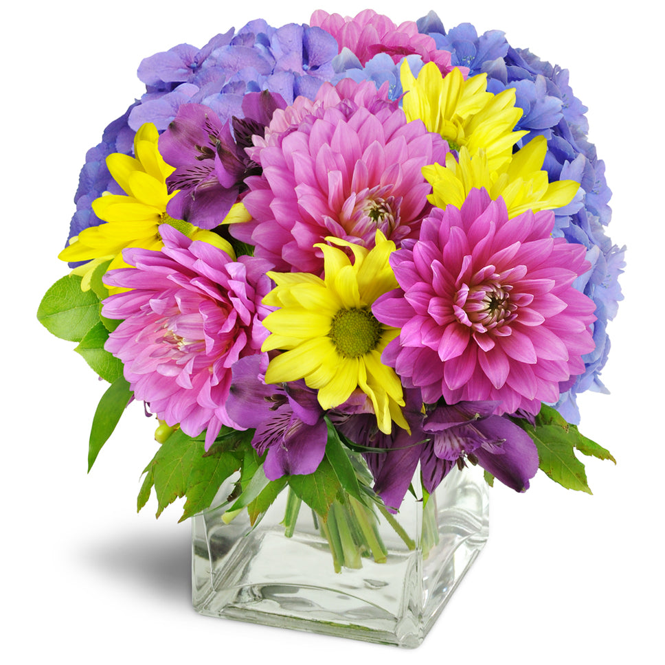 Pretty Purple Cheer™ - Premium. Pink dahlias, purple alstroemeria, blue hydrangea, yellow daisies, and green dianthus are delightfully arranged in a clear glass vase.