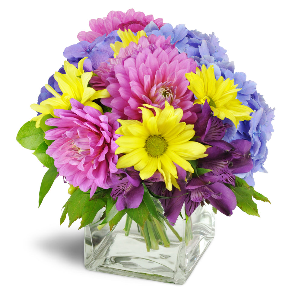 Pretty Purple Cheer™ - Deluxe. Pink dahlias, purple alstroemeria, blue hydrangea, yellow daisies, and green dianthus are delightfully arranged in a clear glass vase.