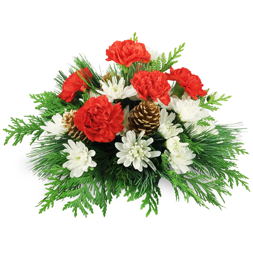 Joyful Greetings - Standard. Carnations and cushion spray mums are accented with cedar, pine, and pinecones.