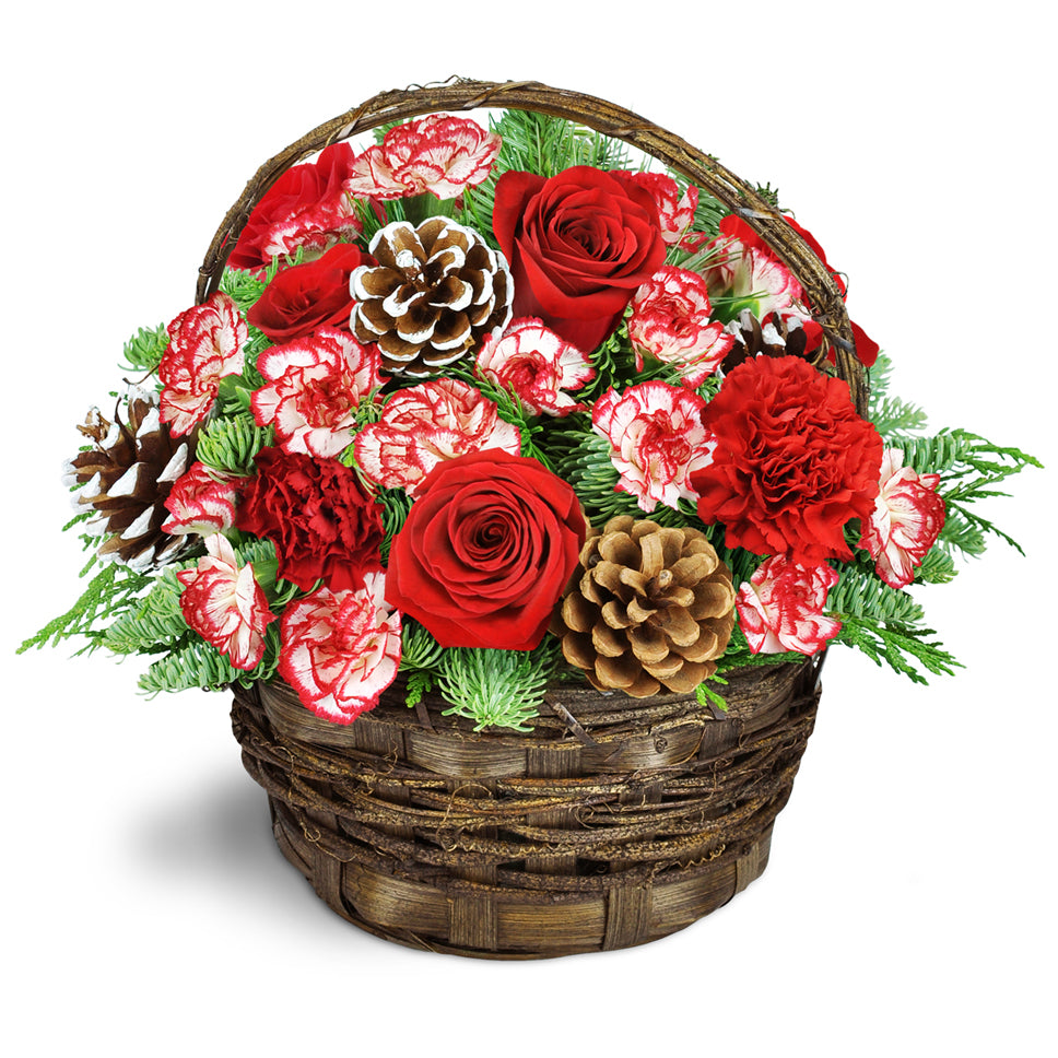 Pretty Peppermint™ - Premium. A bounty of assorted pines is arranged with white-tipped pinecones and adorable peppermint mini carnations.
