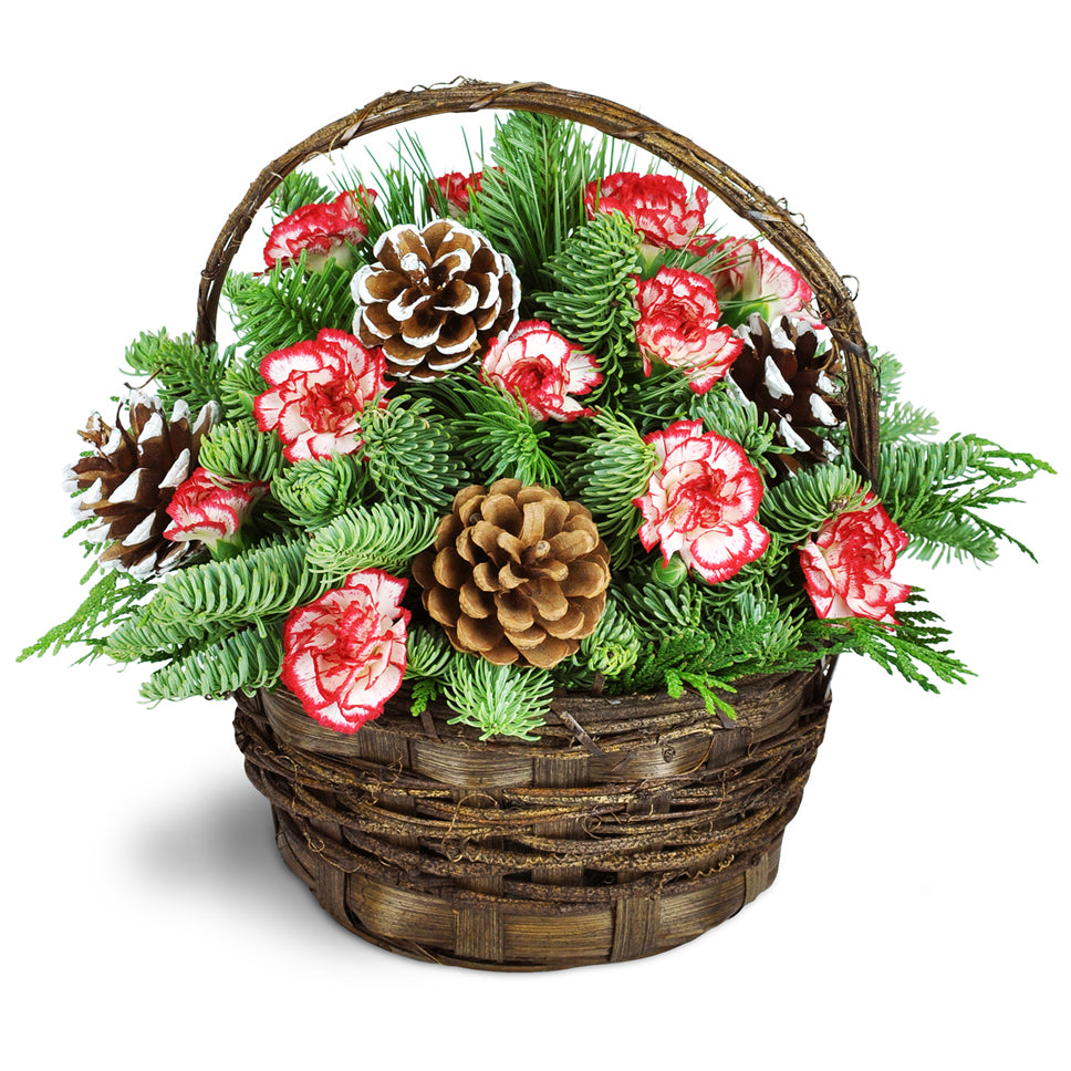 Pretty Peppermint™ - Standard. A bounty of assorted pines is arranged with white-tipped pinecones and adorable peppermint mini carnations.