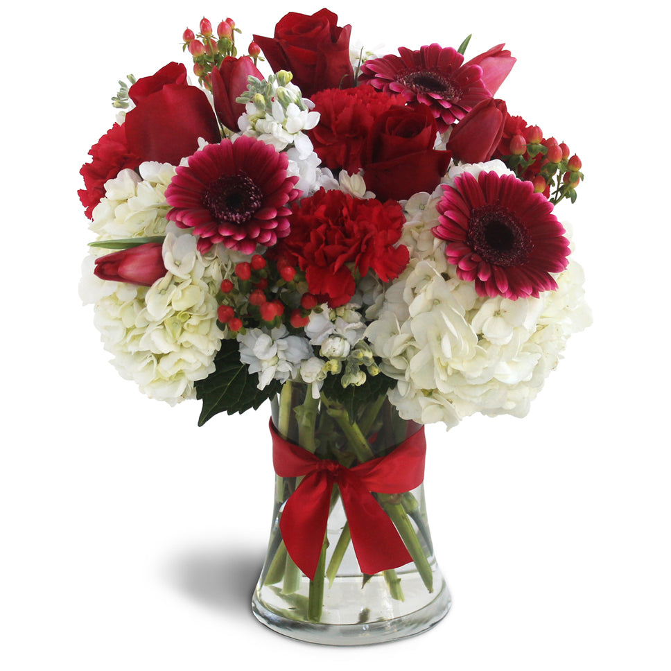 Visions in Red. Red Gerbera daisies, red roses, red carnations, white hydrangeas, and hypericum berries are sweetly arranged in a glass vase and tied with a red ribbon.