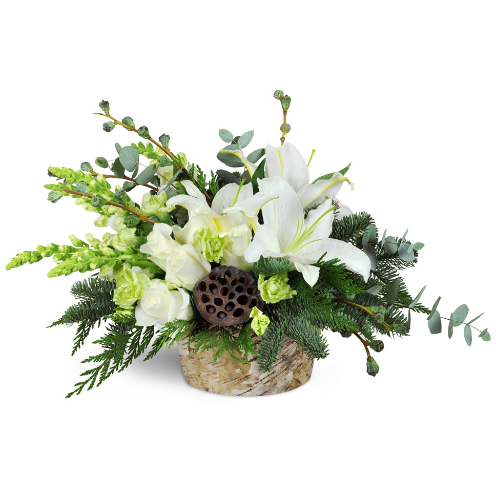 Modern Holiday Display™ - Deluxe. White lilies, white carnations, green mini carnations, snapdragons, lotus pods, eucalyptus, and pine are uniquely arranged in a birch-covered container.