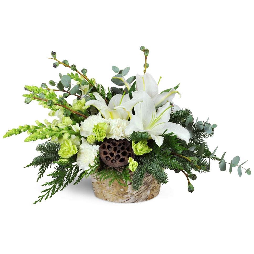 Modern Holiday Display™ - Standard. White lilies, white carnations, green mini carnations, snapdragons, lotus pods, eucalyptus, and pine are uniquely arranged in a birch-covered container.