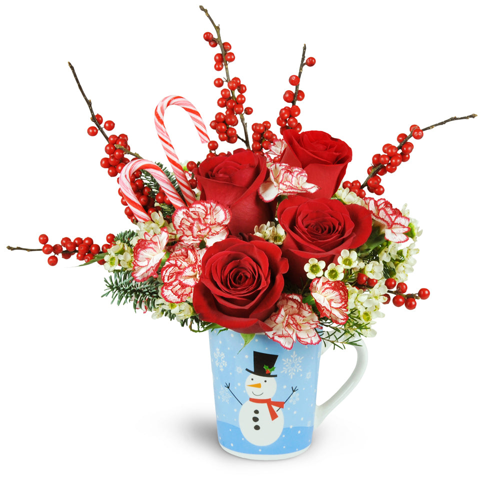 Holiday Hug in a Mug™ - Premium. Carnations, mini carnations, waxflower blooms, ilex berries, and noble fir peek cheerfully from a reusable holiday-themed mug