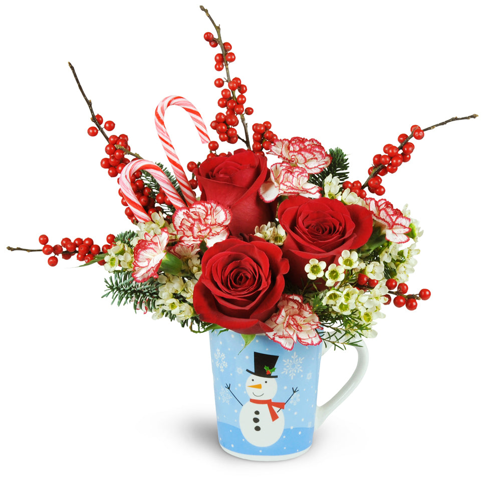 Holiday Hug in a Mug™ - Deluxe. Carnations, mini carnations, waxflower blooms, ilex berries, and noble fir peek cheerfully from a reusable holiday-themed mug