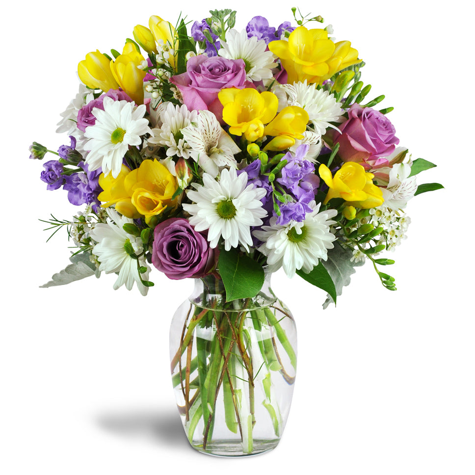 Sunshower Bouquet™ - Deluxe. Lavender roses, cheerful white daisies, and fragrant yellow freesia are arranged in a glass vase.
