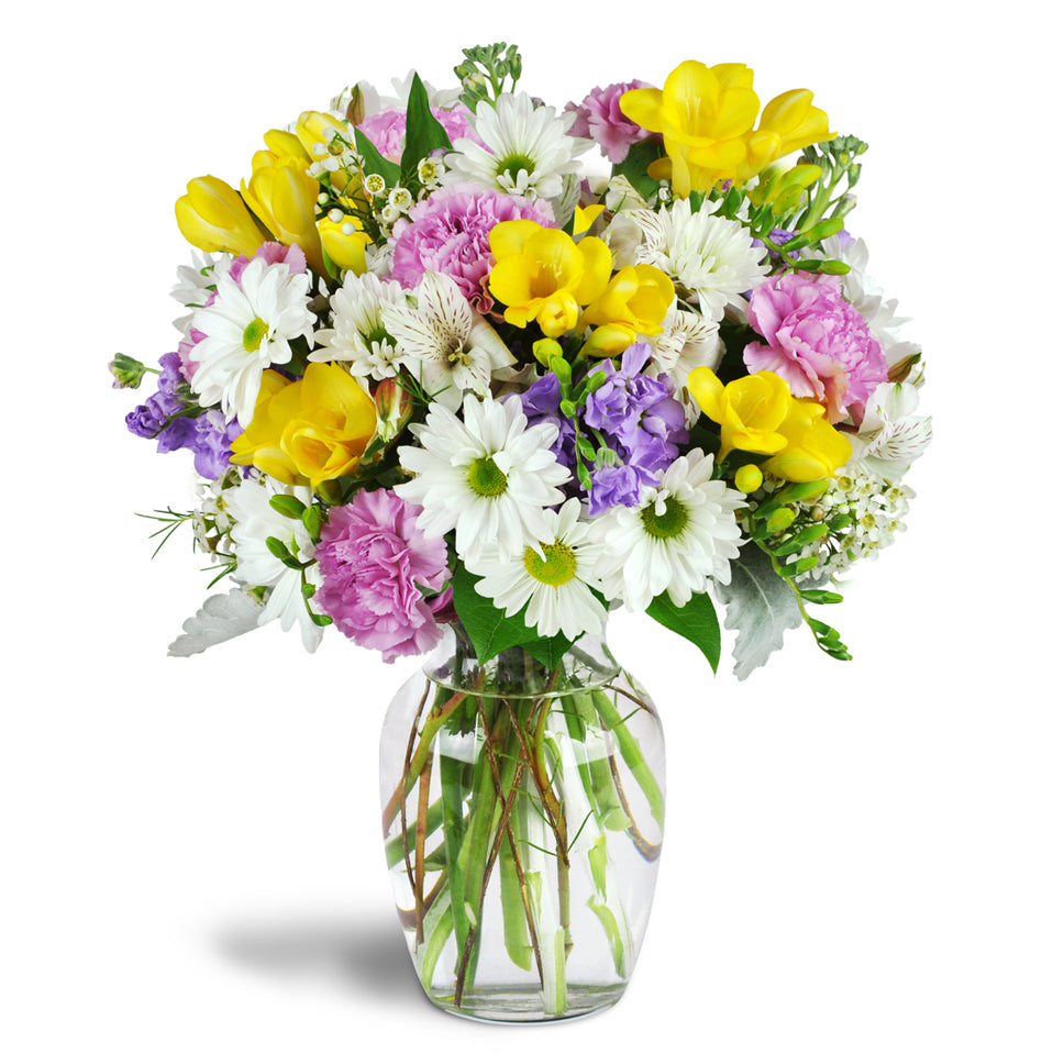 Sunshower Bouquet™ - Standard. Lavender roses, cheerful white daisies, and fragrant yellow freesia are arranged in a glass vase.